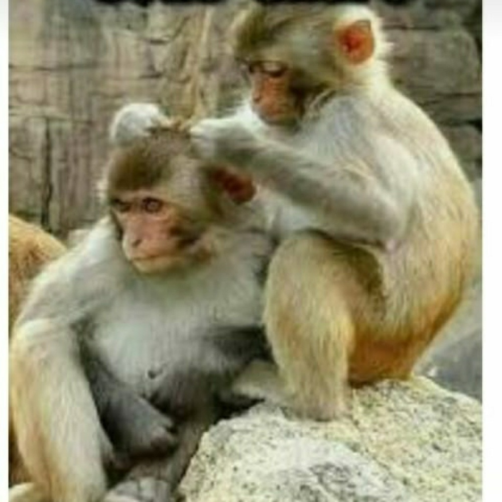 Meet your Posher, Maria